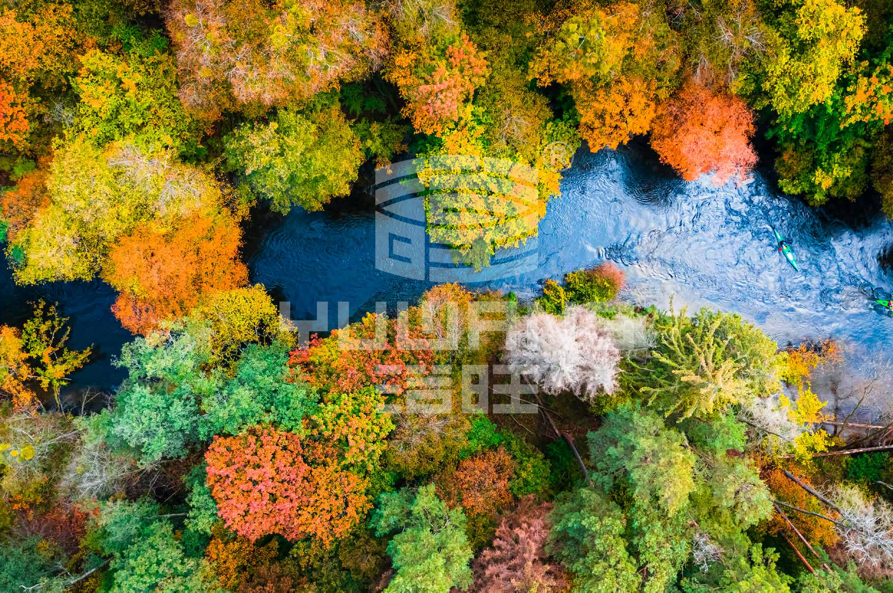 图片 3.png 图片 3.png